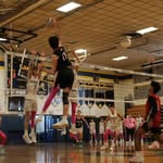William Gold - @williamgoldvolleyball.26 - Instagram