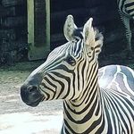 William Golder - @wi11iam_2408 - Instagram