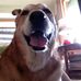 William Goldstone - Facebook