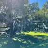 William Goodnow - @william.goodnow - TikTok