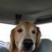 William Goodpaster - Facebook