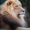 William Goodwill - @william.goodwill - TikTok