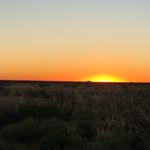 William Goosen - @williamj_goosen - Instagram