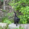 williamgoosboy - @william.goosboy - TikTok