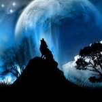 Williamgoosen - @williamgoosen1 - Instagram
