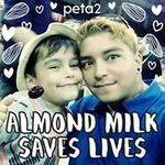 William Eric - @william.gorjup - Instagram