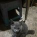 William Gose - Facebook