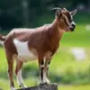 William Hotberg - @william.hotberg - TikTok