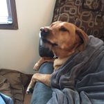 William Joesph Goudy - @sleepygoudy - Instagram