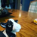 william goulet - @willgoulet - Instagram