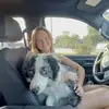 Gracie - @graciewilliams03 - TikTok