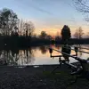 William Grainger - @williamgrainger6 - TikTok