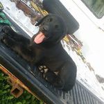 Granger William - @granger_william517 - Instagram