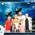 William Granger - Facebook