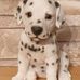 William Granger - Facebook