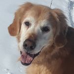 William M Granger - @williammgranger - Instagram