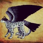 William H Gratz - @williamhgratz - Instagram