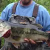 williamgravely65 - @williamgravely65 - TikTok