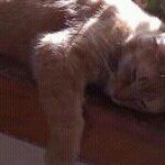 William Greathouse - @williamgreathouse - Instagram