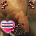 William Greathouse - Facebook