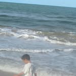 William Grecco - @william.grecco.31 - Instagram