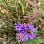 William Greeley - @wgreeley259 - Instagram
