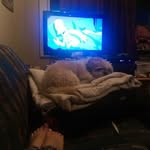 William - @williamgreenanysvxqxsu - Instagram