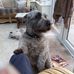 William Greenhalgh - Facebook
