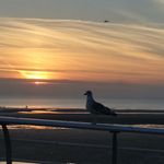 william Greenhalgh - @willmgreenhalgh - Instagram