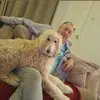 William Greenhalgh - @william.greenhalg - TikTok