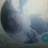 William Grider - @william.grider1 - TikTok
