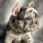 William Grinage - @itsmew.g.78 - Instagram