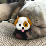 william grindley - @william_grindley - Instagram