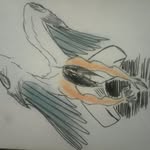 williamgristi - @williamgristi - Instagram