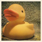 William Grobman - @williamgrobman - Instagram