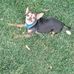 William Groce - Facebook