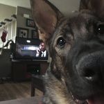 William Groce - @groce168 - Instagram