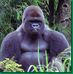 William Grooms - Facebook