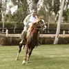 williamguilding43 - @williamguilding43 - TikTok