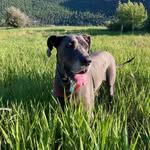 William Gunstrom - @williamgunstrom - Instagram