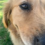 William charles guppy - @bazza9gzza - Instagram
