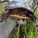 William Gutowski - Facebook