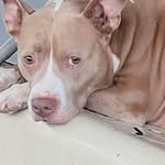 William Isaiah Gwinn - @william519117 - Instagram