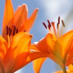 William Hackett - @williamhackettphotography - Instagram