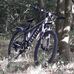 William Hadden - Facebook