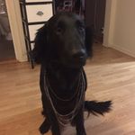 William Haglund - @8560.william - Instagram