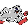 William Haight - @william.haight5 - TikTok