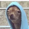 williamhaldhauptm - @gummianden123 - TikTok