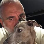 William hales - @realwilli_hales - Instagram