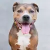 williamhales661 - @williamhales661 - TikTok